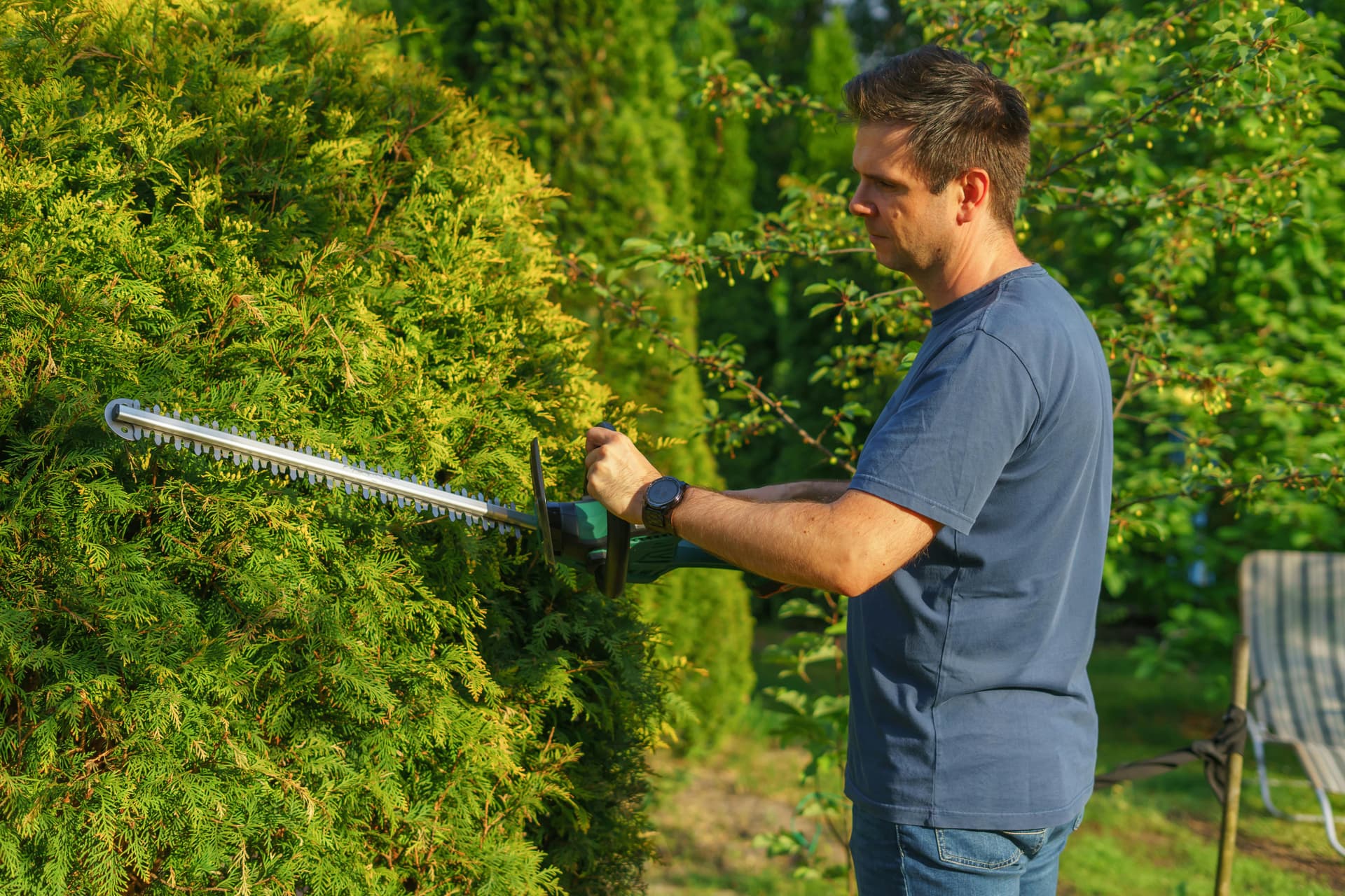Seasonal garden tidy-up service